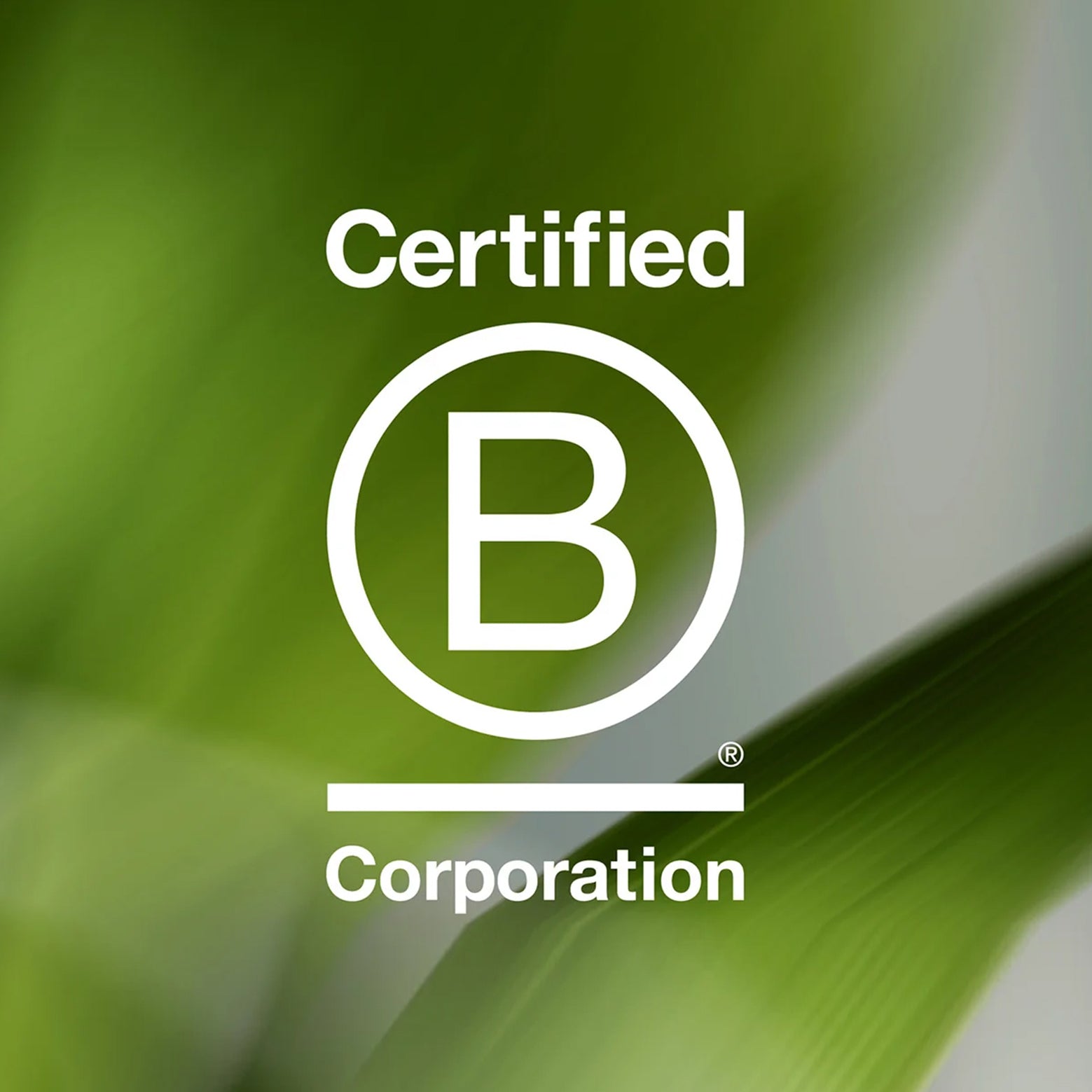 Active Cleansing Gel | Shavy™